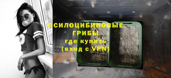 тгк Абаза
