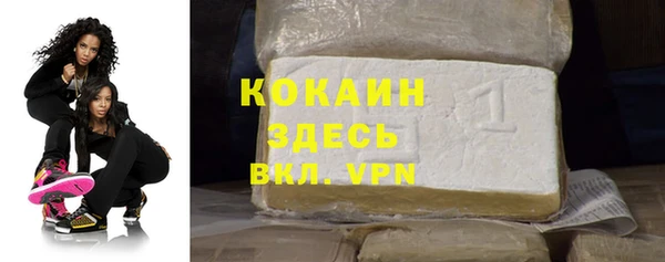 тгк Абаза