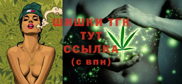 тгк Абаза