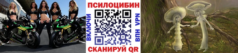 Псилоцибиновые грибы Magic Shrooms  Елизово 