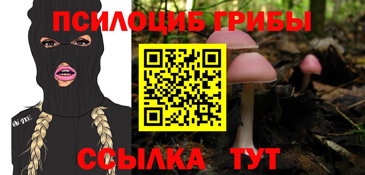 Елизово  Псилоцибиновые грибы прущие грибы  Вход с VPN 